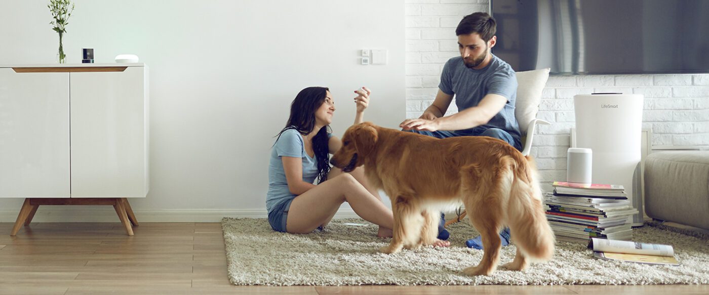 a man and woman sitting on a rug with a dog